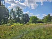0 DEEP BAY ROAD | Minden Hills Ontario | Slide Image Seven