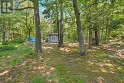 46 HUCKLEBERRY ISLAND | Carling Ontario | Slide Image Twenty-eight