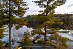 800 BIG ISLAND | Huntsville Ontario | Slide Image Eleven