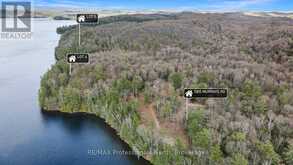 LOT 4 GONNSEN TRAIL | Haliburton Ontario | Slide Image Four