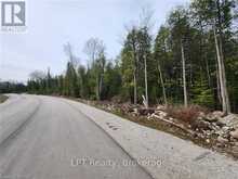 LOT 10 TRILLIUM CROSSING | Lion's Head Ontario | Slide Image Ten