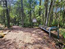 LOT 10 TRILLIUM CROSSING | Lion's Head Ontario | Slide Image Twenty-two