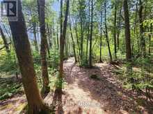 LOT 10 TRILLIUM CROSSING | Lion's Head Ontario | Slide Image Thirty