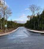 LOT 10 TRILLIUM CROSSING | Lion's Head Ontario | Slide Image Thirty-five