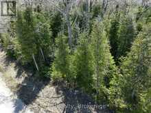 LOT 10 TRILLIUM CROSSING | Lion's Head Ontario | Slide Image Four