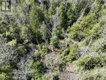 LOT 10 TRILLIUM CROSSING | Lion's Head Ontario | Slide Image Six