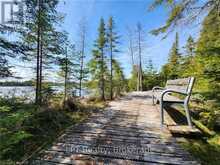 LOT 10 TRILLIUM CROSSING | Lion's Head Ontario | Slide Image Thirty-one
