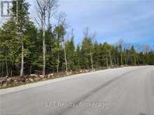 LOT 10 TRILLIUM CROSSING | Lion's Head Ontario | Slide Image Nine