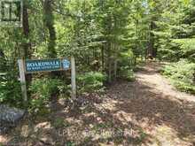 LOT 10 TRILLIUM CROSSING | Lion's Head Ontario | Slide Image Thirty-four