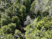 LOT 10 TRILLIUM CROSSING | Lion's Head Ontario | Slide Image Seven