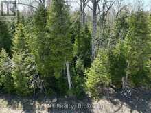 LOT 10 TRILLIUM CROSSING | Lion's Head Ontario | Slide Image Five