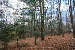 8 RICE LANE | Huntsville Ontario | Slide Image Five