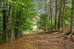 1492 #3 NORTH SHORE ROAD | Utterson Ontario | Slide Image Thirty-five