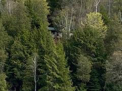1167 PRECIPICE ROAD Haliburton Ontario, K0M 1S0