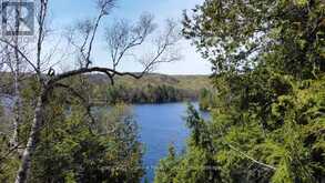 1167 PRECIPICE ROAD | Haliburton Ontario | Slide Image Five