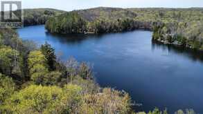 1167 PRECIPICE ROAD | Haliburton Ontario | Slide Image Six