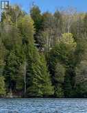 1167 PRECIPICE ROAD | Haliburton Ontario | Slide Image One