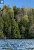1167 PRECIPICE ROAD | Haliburton Ontario | Slide Image Twenty-eight