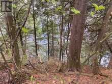 1167 PRECIPICE ROAD | Haliburton Ontario | Slide Image Thirty-two
