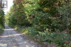LOT 20 CONCESSION 5 ROAD | Huntsville Ontario | Slide Image One