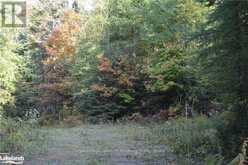 LOT 20 CONCESSION 5 ROAD | Huntsville Ontario | Slide Image Three