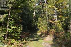 LOT 20 CONCESSION 5 ROAD | Huntsville Ontario | Slide Image Four