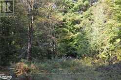 LOT 20 CONCESSION 5 ROAD | Huntsville Ontario | Slide Image Five