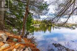 11443 KUSHOG NORTH WAO | Algonquin Highlands Ontario | Slide Image Forty-three
