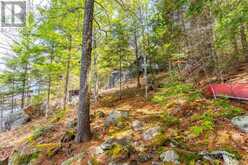 11443 KUSHOG NORTH WAO | Algonquin Highlands Ontario | Slide Image Forty-four