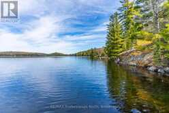 11443 KUSHOG NORTH WAO | Algonquin Highlands Ontario | Slide Image Forty-five