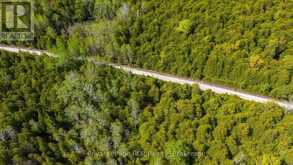 776318 HIGHWAY 10 | Chatsworth Ontario | Slide Image Thirty-six