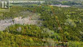 776318 HIGHWAY 10 | Chatsworth Ontario | Slide Image Thirty-nine