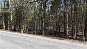 TBD GLAMOR LAKE ROAD | Highlands East Ontario | Slide Image Two