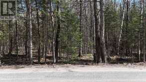 TBD GLAMOR LAKE ROAD | Highlands East Ontario | Slide Image Three