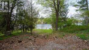87 JOSEPH STREET | Port Carling Ontario | Slide Image Two