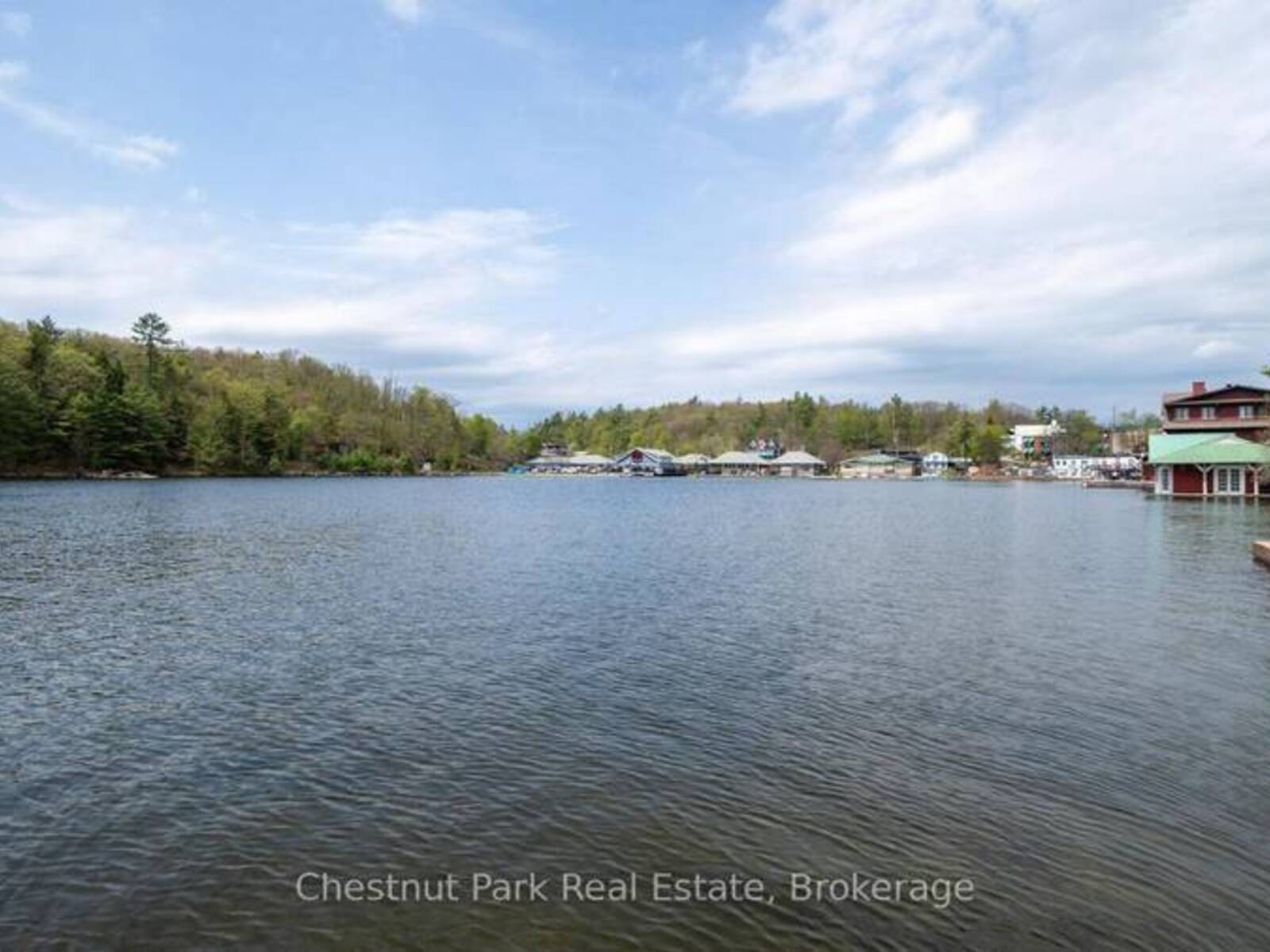 87 JOSEPH STREET, Port Carling, Ontario P0B 1J0