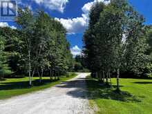 1373 EAGLE LAKE ROAD | Haliburton Ontario | Slide Image Thirty-five