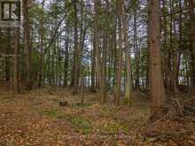 SOUTH LOT 18863 KAWAGAMA LAKE NORTH SHORE | Lake of Bays Ontario | Slide Image Thirteen