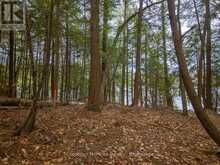 SOUTH LOT 18863 KAWAGAMA LAKE NORTH SHORE | Lake of Bays Ontario | Slide Image Fifteen
