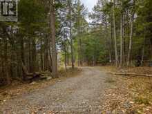 SOUTH LOT 18863 KAWAGAMA LAKE NORTH SHORE | Lake of Bays Ontario | Slide Image Twenty-one