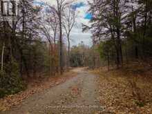SOUTH LOT 18863 KAWAGAMA LAKE NORTH SHORE | Lake of Bays Ontario | Slide Image Twenty-three