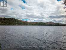 SOUTH LOT 18863 KAWAGAMA LAKE NORTH SHORE | Lake of Bays Ontario | Slide Image Four
