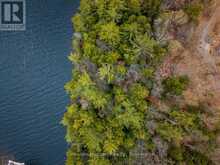 SOUTH LOT 18863 KAWAGAMA LAKE NORTH SHORE | Lake of Bays Ontario | Slide Image Seven