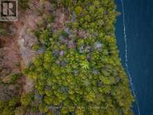 NORTH LOT 18863 KAWAGAMA LAKE NORTH SHORE DRIVE | Lake of Bays Ontario | Slide Image Twelve