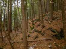 NORTH LOT 18863 KAWAGAMA LAKE NORTH SHORE DRIVE | Lake of Bays Ontario | Slide Image Sixteen