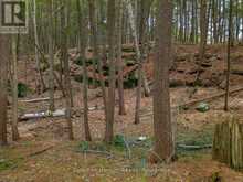 NORTH LOT 18863 KAWAGAMA LAKE NORTH SHORE DRIVE | Lake of Bays Ontario | Slide Image Nineteen