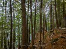 NORTH LOT 18863 KAWAGAMA LAKE NORTH SHORE DRIVE | Lake of Bays Ontario | Slide Image Twenty