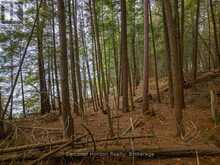 NORTH LOT 18863 KAWAGAMA LAKE NORTH SHORE DRIVE | Lake of Bays Ontario | Slide Image Twenty-three