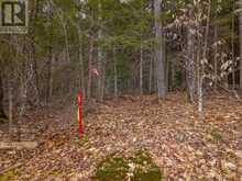 NORTH LOT 18863 KAWAGAMA LAKE NORTH SHORE DRIVE | Lake of Bays Ontario | Slide Image Twenty-four