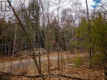 NORTH LOT 18863 KAWAGAMA LAKE NORTH SHORE DRIVE | Lake of Bays Ontario | Slide Image Twenty-five